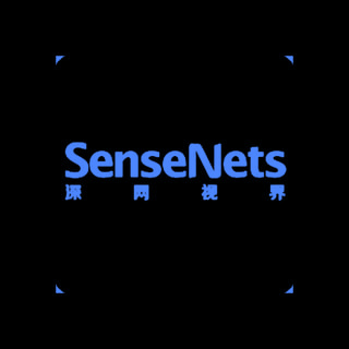 DoomBench-blue rendering of the SenseNets logo against a black background.